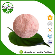 China Organic Compound NPK Fertilizer in Fertilizer